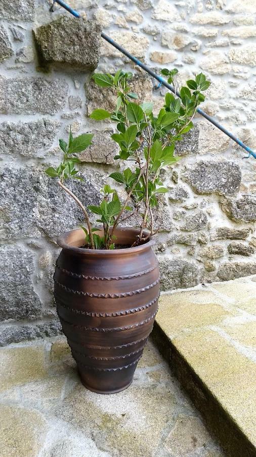Casa Dario Vendégház Diomondi Kültér fotó
