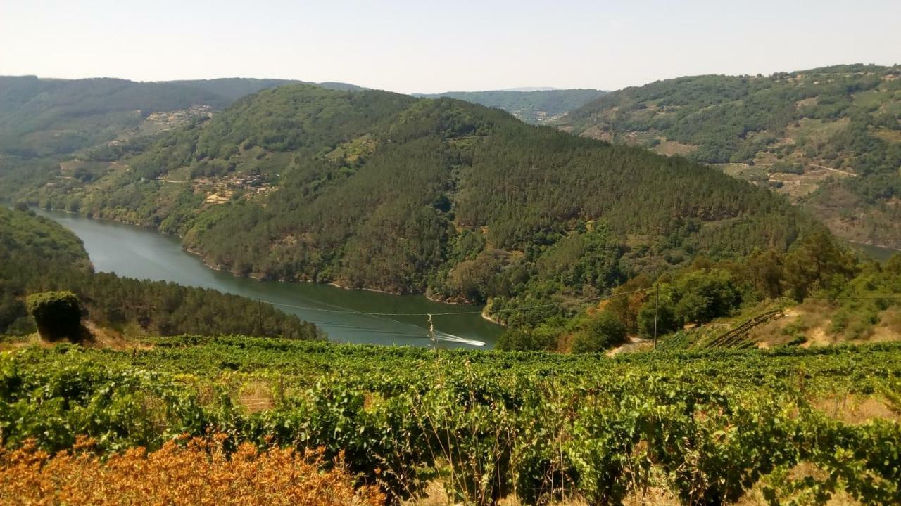 Casa Dario Vendégház Diomondi Kültér fotó
